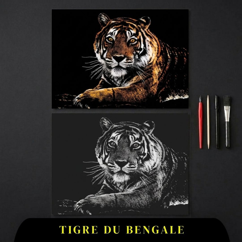 Coffret Animaux - votre rituel antistress