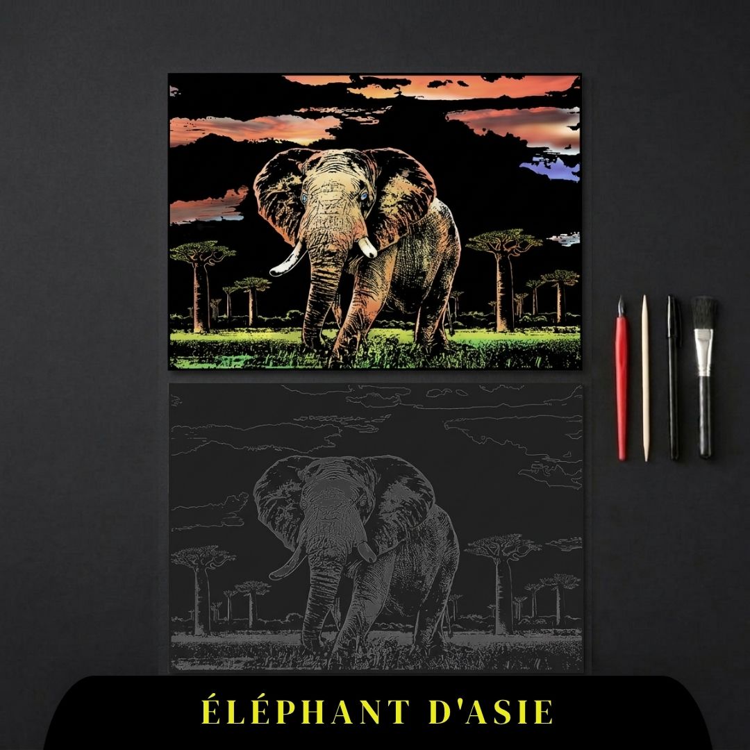 Coffret Animaux - votre rituel antistress