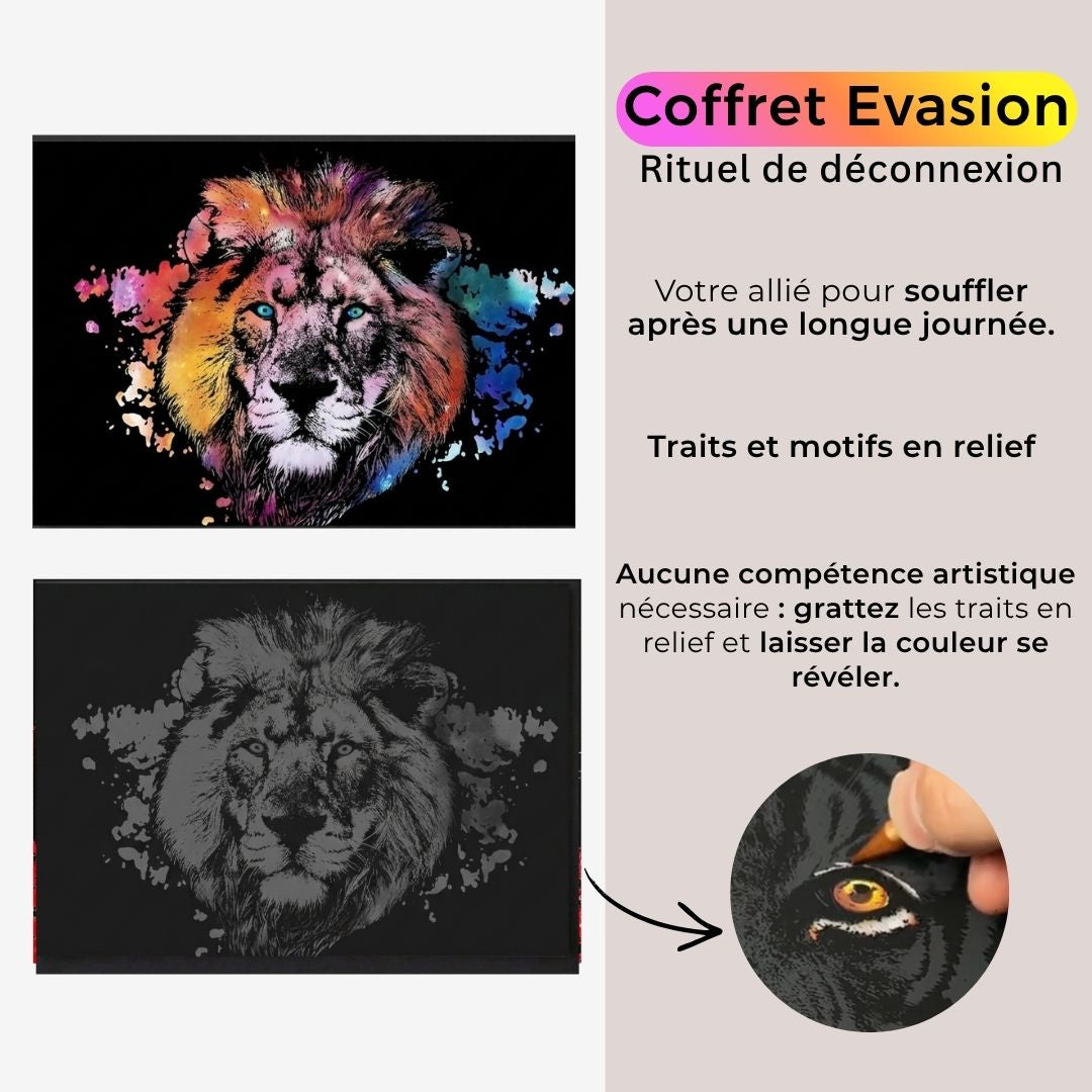 Coffret Animaux - votre rituel antistress