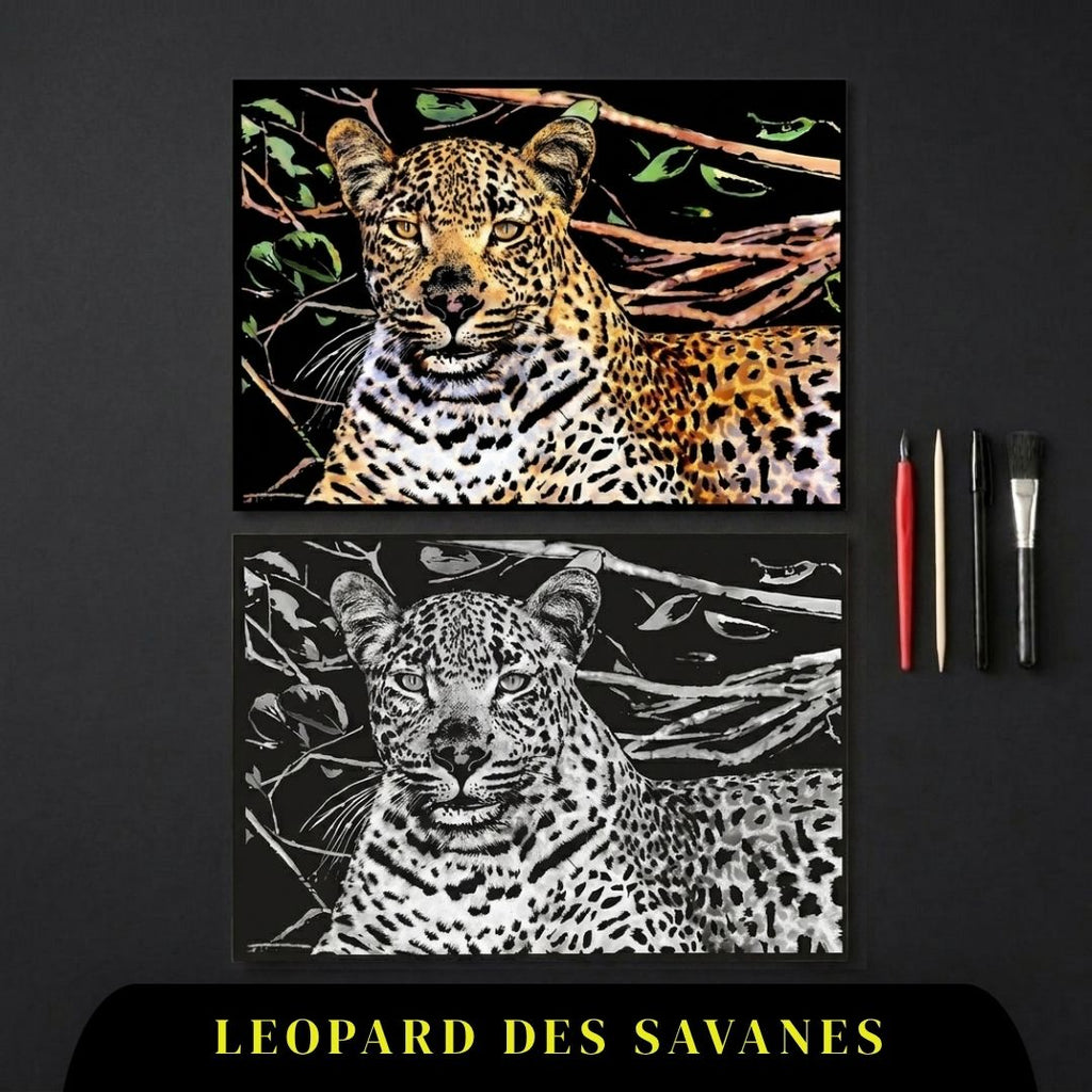 Coffret Animaux - votre rituel antistress