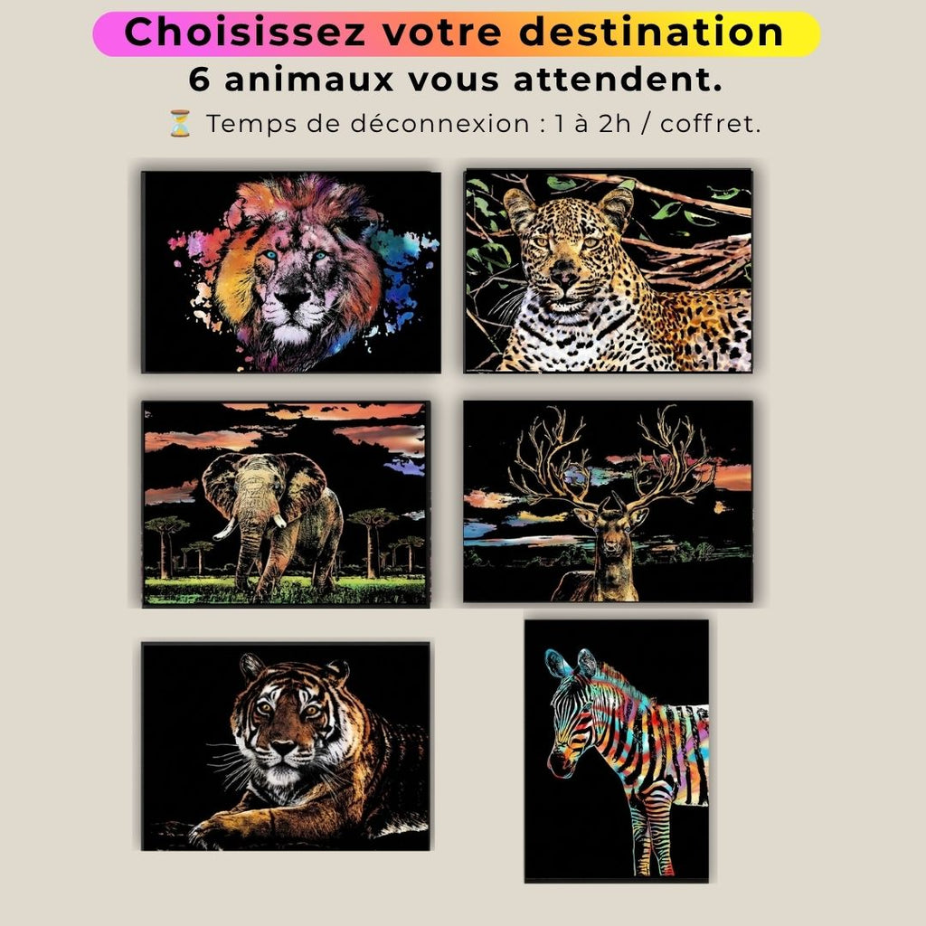 Coffret Animaux - votre rituel antistress