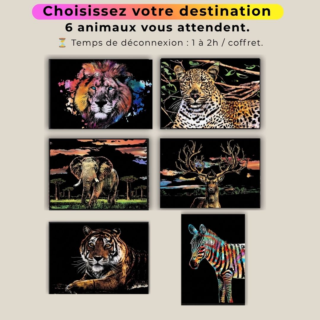 Coffret Animaux - votre rituel antistress